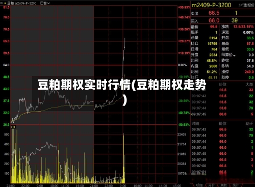 豆粕期权实时行情(豆粕期权走势)-第2张图片