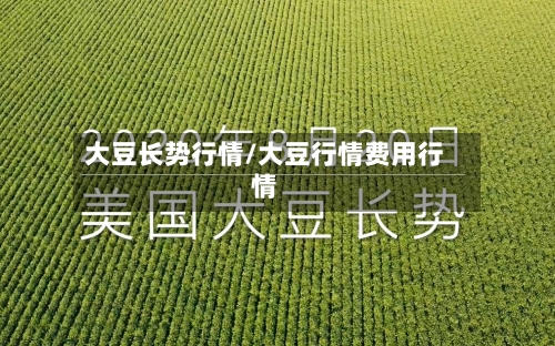 大豆长势行情/大豆行情费用行情-第2张图片