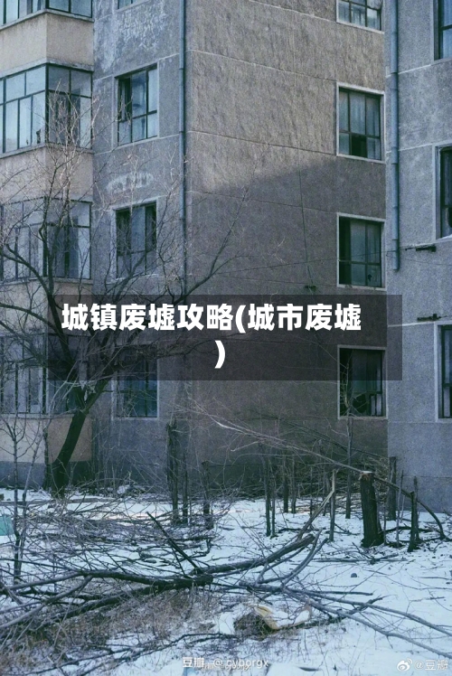 城镇废墟攻略(城市废墟)