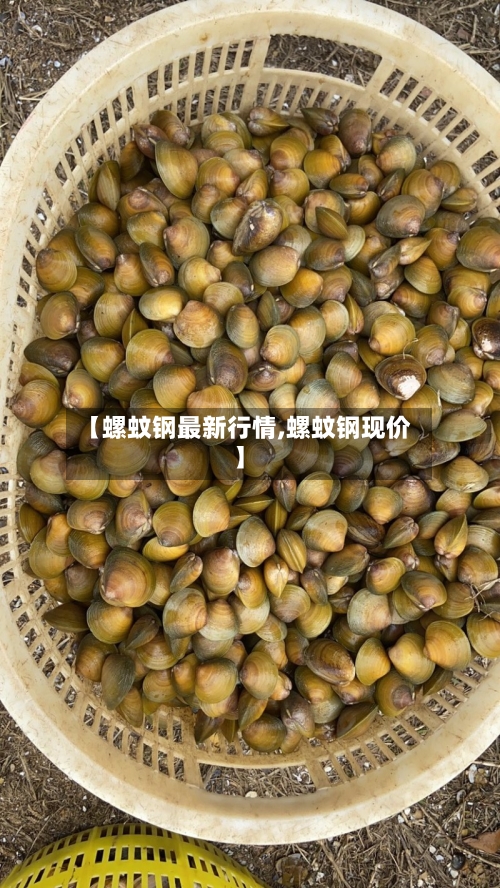 【螺蚊钢最新行情,螺蚊钢现价】-第3张图片