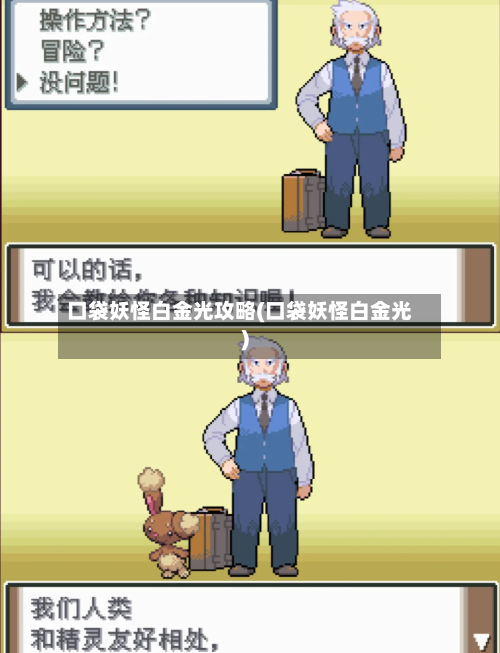 口袋妖怪白金光攻略(口袋妖怪白金光)-第2张图片