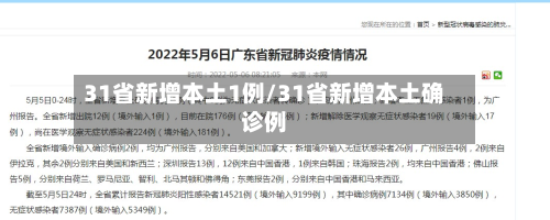 31省新增本土1例/31省新增本土确诊例