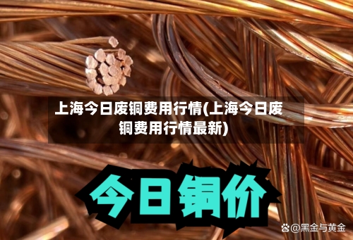上海今日废铜费用行情(上海今日废铜费用行情最新)-第1张图片
