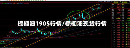 棕榈油1905行情/棕榈油现货行情-第3张图片