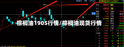 棕榈油1905行情/棕榈油现货行情-第2张图片