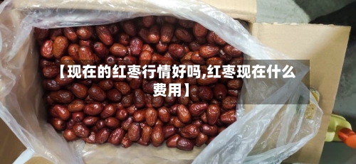【现在的红枣行情好吗,红枣现在什么费用】