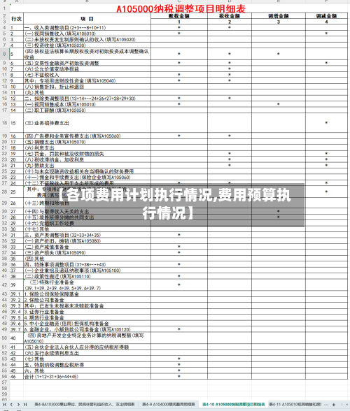 【各项费用计划执行情况,费用预算执行情况】