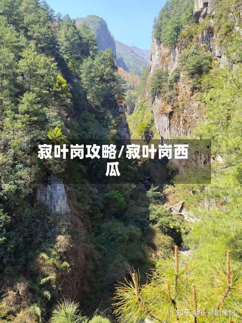 寂叶岗攻略/寂叶岗西瓜