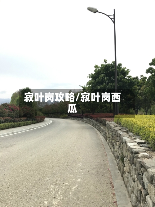 寂叶岗攻略/寂叶岗西瓜-第2张图片