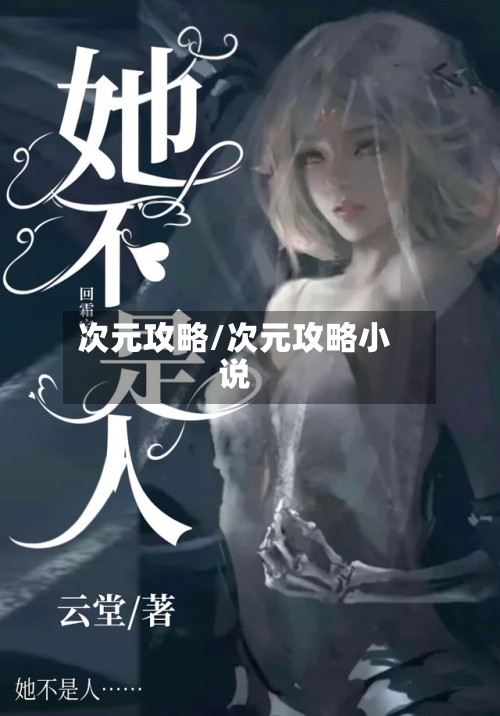 次元攻略/次元攻略小说