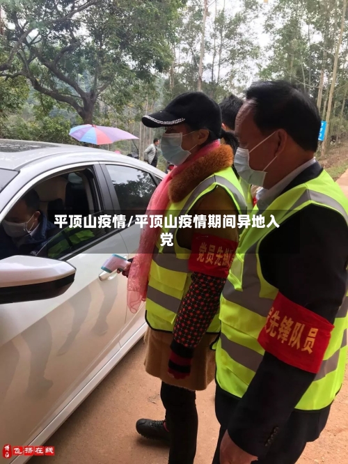 平顶山疫情/平顶山疫情期间异地入党-第1张图片