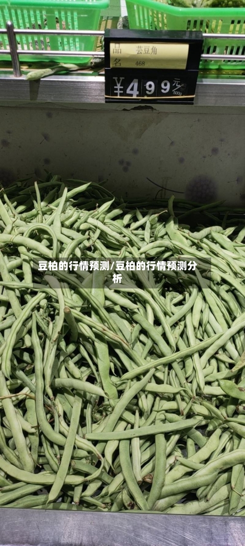 豆柏的行情预测/豆柏的行情预测分析-第1张图片
