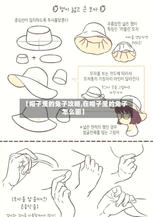 【帽子里的兔子攻略,在帽子里的兔子怎么画】