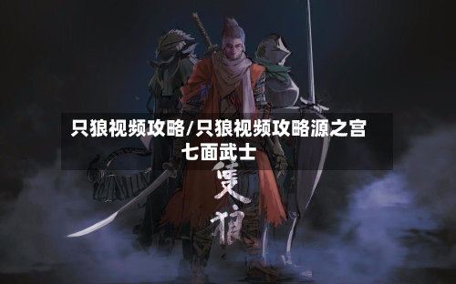 只狼视频攻略/只狼视频攻略源之宫七面武士