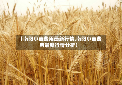 【南阳小麦费用最新行情,南阳小麦费用最新行情分析】