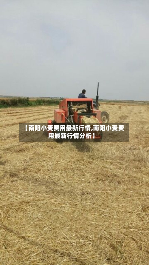 【南阳小麦费用最新行情,南阳小麦费用最新行情分析】-第2张图片