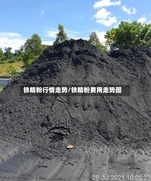 铁精粉行情走势/铁精粉费用走势图-第3张图片