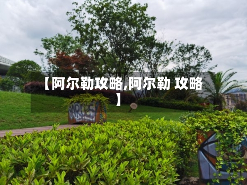 【阿尔勒攻略,阿尔勒 攻略】