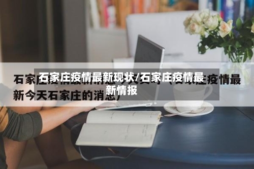 石家庄疫情最新现状/石家庄疫情最新情报-第3张图片