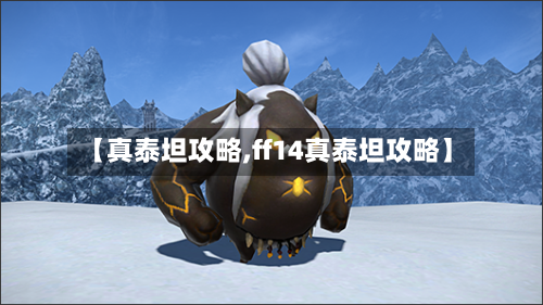 【真泰坦攻略,ff14真泰坦攻略】