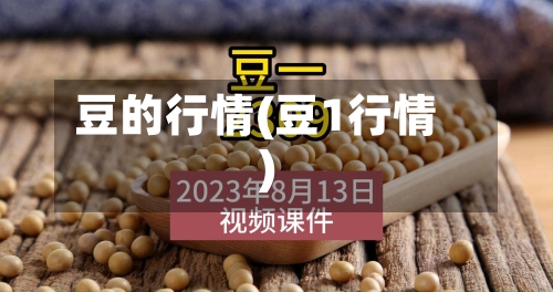 豆的行情(豆1行情)
