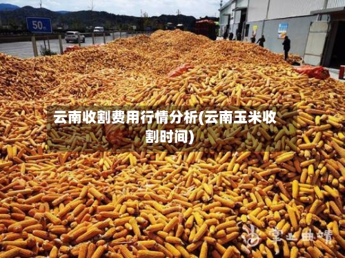 云南收割费用行情分析(云南玉米收割时间)-第2张图片