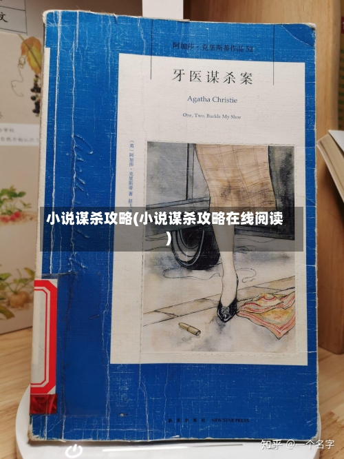 小说谋杀攻略(小说谋杀攻略在线阅读)-第3张图片