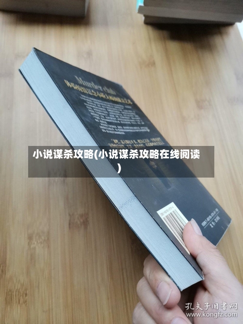 小说谋杀攻略(小说谋杀攻略在线阅读)-第2张图片