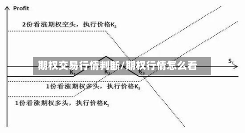 期权交易行情判断/期权行情怎么看