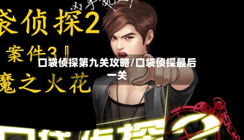 口袋侦探第九关攻略/口袋侦探最后一关-第3张图片