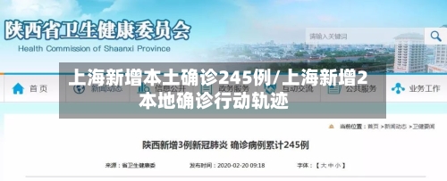 上海新增本土确诊245例/上海新增2本地确诊行动轨迹