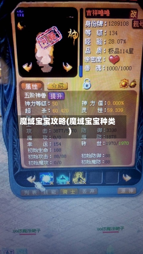 魔域宝宝攻略(魔域宝宝种类)