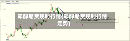 郑醇期货现时行情(郑醇期货现时行情走势)-第3张图片