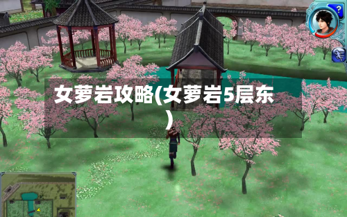 女萝岩攻略(女萝岩5层东)