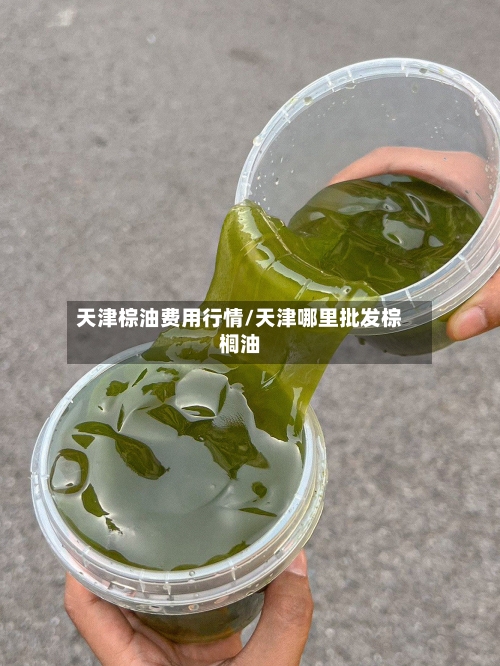 天津棕油费用行情/天津哪里批发棕榈油
