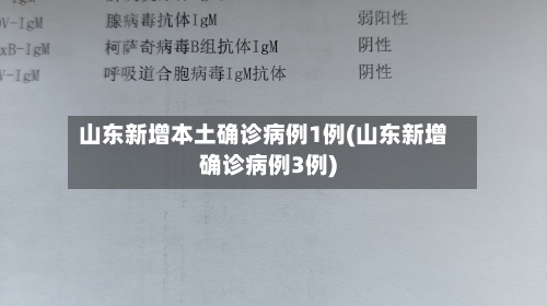 山东新增本土确诊病例1例(山东新增确诊病例3例)-第3张图片