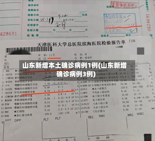 山东新增本土确诊病例1例(山东新增确诊病例3例)