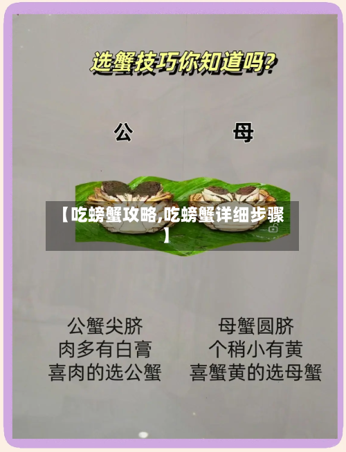 【吃螃蟹攻略,吃螃蟹详细步骤】-第2张图片