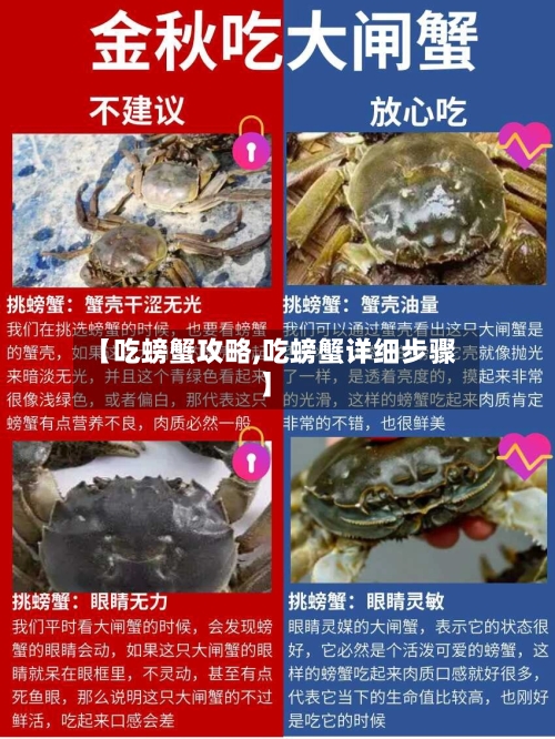 【吃螃蟹攻略,吃螃蟹详细步骤】-第1张图片