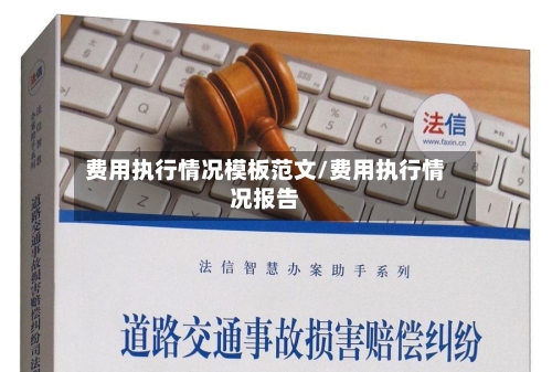 费用执行情况模板范文/费用执行情况报告