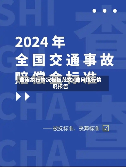 费用执行情况模板范文/费用执行情况报告-第2张图片
