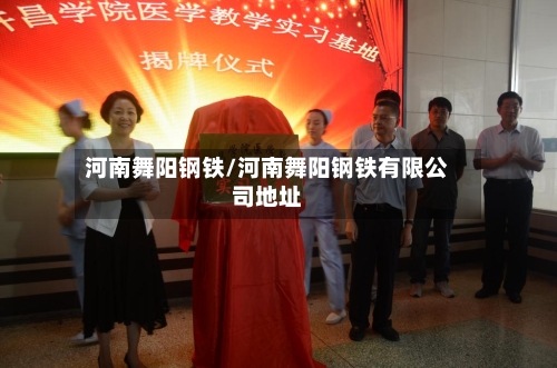 河南舞阳钢铁/河南舞阳钢铁有限公司地址-第3张图片