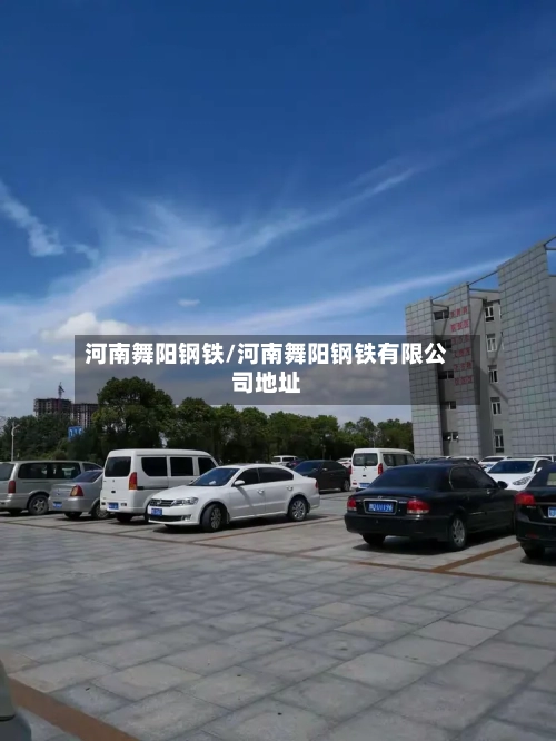 河南舞阳钢铁/河南舞阳钢铁有限公司地址-第2张图片