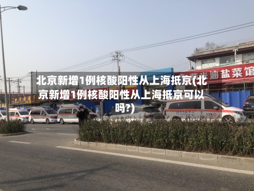 北京新增1例核酸阳性从上海抵京(北京新增1例核酸阳性从上海抵京可以吗?)-第3张图片