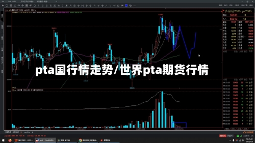 pta国行情走势/世界pta期货行情