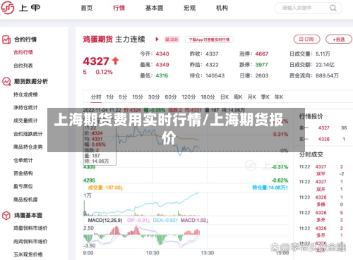 上海期货费用实时行情/上海期货报价