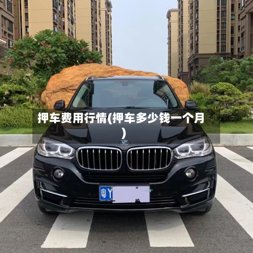 押车费用行情(押车多少钱一个月)