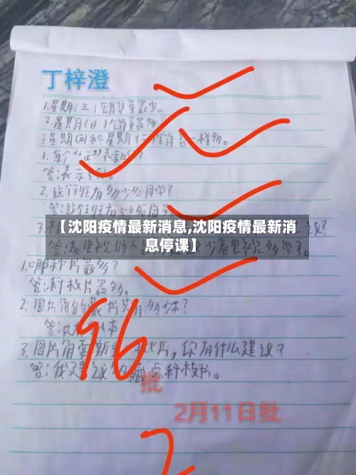 【沈阳疫情最新消息,沈阳疫情最新消息停课】