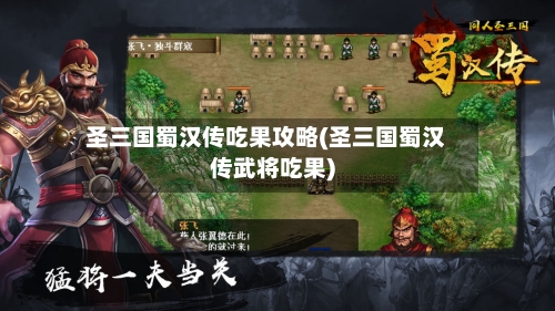 圣三国蜀汉传吃果攻略(圣三国蜀汉传武将吃果)-第2张图片