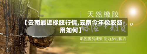 【云南最近橡胶行情,云南今年橡胶费用如何】